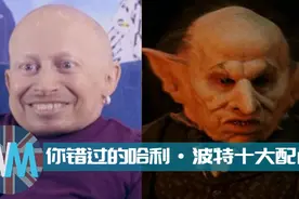 你错过的哈利波特十大配角视频封面