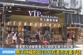香港大劫案！两地警方详解破案全过程图片