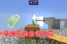 我的世界水晶花园09：阳光下的一朵“白雏菊”