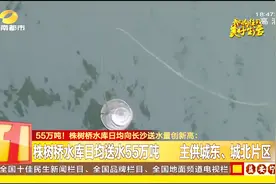 55万吨！株树桥水库日均向长沙送水量创新高 主供城东、城北片区视频封面
