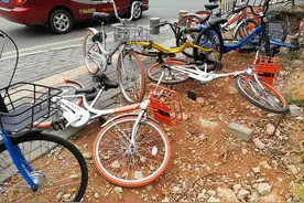 共享单车变成“私家车” 偷车男子被拘留图片