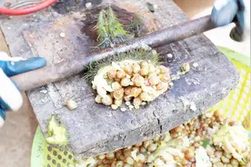 鸡头子好吃不好剥？3姐用铁棍压一压，效果真好，三两下剥一个