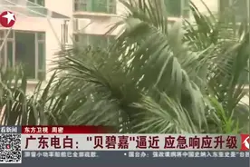 疾风骤雨杀到！台风“贝碧嘉”逼近广东电白 最大风力已达10级