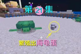 我的世界21：大概是mc中第一个卵生生物，千辛万苦终于生了海龟蛋视频封面