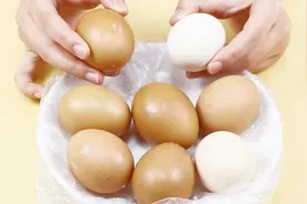 白皮鸡蛋和红皮鸡蛋到底有什么区别？今天才了解到，涨知识了视频封面