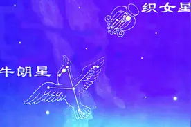 维舟：七夕相会的鹊桥，原本是乌鸦搭建的？图片