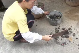 有点想吐！农村妹子把这种螺一个个敲烂，却引来鸭子的疯狂抢食视频封面
