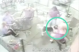 女子欲收养流浪哈士奇 贴脸显亲昵时被咬 二哈趁乱逃离视频封面