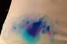 洗衣服不小心把卫生纸混一起洗了？简单一招，轻松去除碎纸屑图片