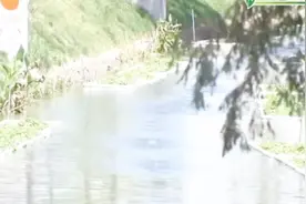臭水沟大变身！龚家沟引入一体化污水处理设施 黑水进清水出视频封面