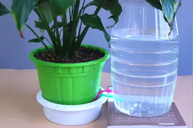 空油桶上插2根吸管太厉害了，改造自动浇花神器，1个月都不用浇花视频封面