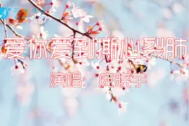 早安，一首《爱你爱到撕心裂肺》循环听了一天，莫名的伤感！视频封面