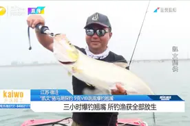 路亚达人野外作钓，三小时爆钓翘嘴，全程分析如何选择钓位视频封面
