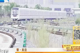 帮女郎探访武汉地铁野芷湖车辆段：四线共享、项目最多、功能最强视频封面