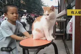 猫咪遇上淘气包，有理说不清视频封面