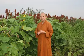 花开花谢，心地从缓图片