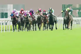斥资20亿！内地首个世界级马场：从化马场正式启用视频封面