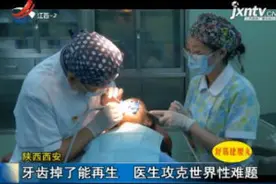 陕西西安：牙齿掉了能再生 医生攻克世界性难题视频封面