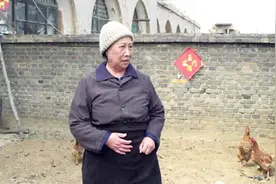 美女老师嗓子哑了还坚持教书，老奶奶特地杀了只鸡给老师补补视频封面