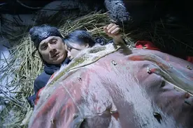 将军护送进贡的妃子回朝，遭遇敌人袭击掉入悬崖，两人暗生情愫