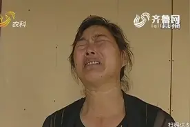 6岁男孩没学上急哭家长 夫妻俩收养孩子户口出问题 上学无着落视频封面
