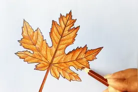 零基础也能学会的简笔画，画一片枫叶静候秋的到来！视频封面