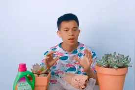 蜂窝煤养花：2种常见用法，1种隐藏用法，养花省钱好办法！视频封面