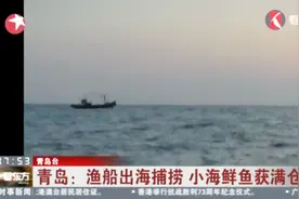 开海了！青岛各地捕鱼船纷纷扬帆出海！海鲜鱼获满仓！视频封面