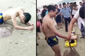是魔鬼吗？男子下海游泳被“魔鬼鱼”刺中下体 在海滩上痛苦大叫视频封面