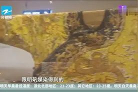 清宫剧服饰色彩引热议，国丝馆复原真实乾隆色视频封面