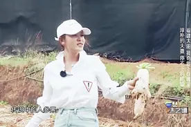 英壮和女神叶一茜去田里拔萝卜，俩人这次玩的太嗨了！视频封面