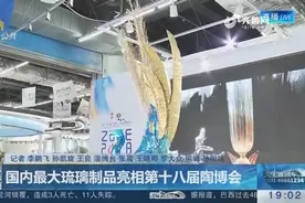 琉璃孔雀吸引人 淄博开展国内十八届陶瓷博览会 推出最大琉璃品视频封面
