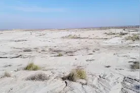 什么盐碱地？农业改善未来其土地利用价值很高视频封面