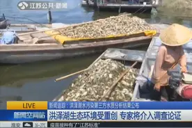 洪泽湖污染事件调查结果公布：污水里检出铅砷 污染源不止是安徽视频封面