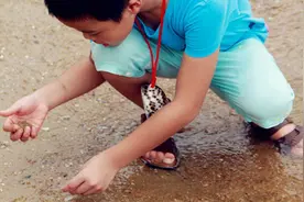 在泰国旅游，为什么千万不能捡海边的贝壳？视频封面