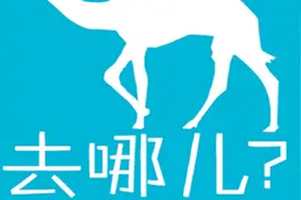 去哪儿网平台存猫腻 消费者权益屡受损视频封面