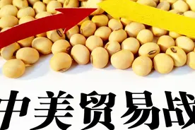 美媒感叹：关税没有伤及中国消费者，却让美国商品更加昂贵视频封面