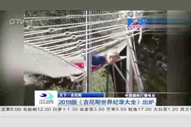2019版《吉尼斯世界纪录大全》出炉视频封面