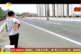 “天降馅饼砸死人” 高速路上捡肥猪 没成想丢了性命视频封面