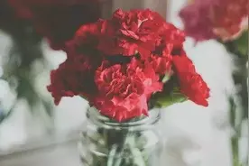 听了这首歌 就想恋爱啦！《亲青恋歌》重磅发布！图片