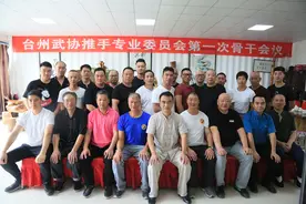 台州市武术协会太极推手专业委员召开第一次骨干会议图片
