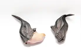 生菱角怎么剥壳？剥壳难倒你？教你几招轻松剥去菱角壳视频封面