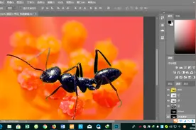 Photoshop教程64.填充路径与描边路径视频封面