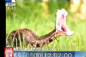 女子清晨起床上厕所，魂都吓没了，踩到毒蛇被咬伤视频封面