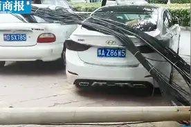 惊险！郑州一工程车不慎碰到通信电缆拉倒电线杆，砸中多辆私家车视频封面