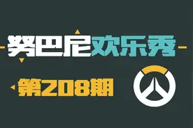 努巴尼欢乐秀208：脸部着地视频封面