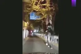 炒作？上海一女子深夜在市中心骑马视频封面