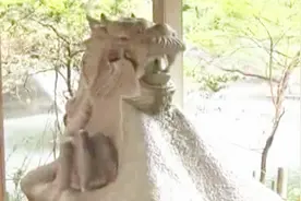 在日本还有一个叫弁财天的神社，据说里面还有一个象征财富的女神视频封面