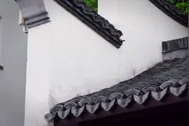 一个有着1300年历史的古镇！这里是浦东新场！视频封面