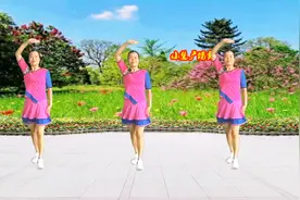 初级入门舞16步《花蝴蝶》经典老歌新跳，时尚活泼又可爱附分解视频封面